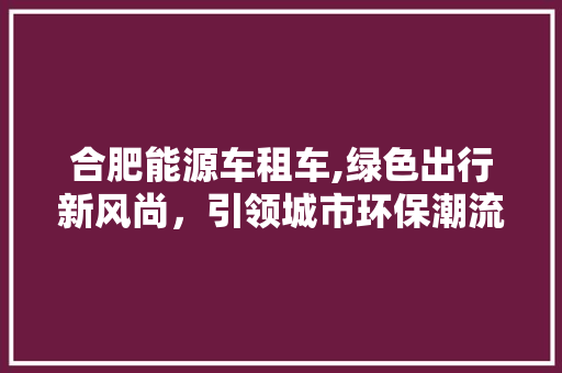 合肥能源车租车,绿色出行新风尚，引领城市环保潮流