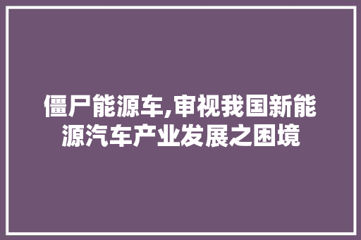 僵尸能源车,审视我国新能源汽车产业发展之困境