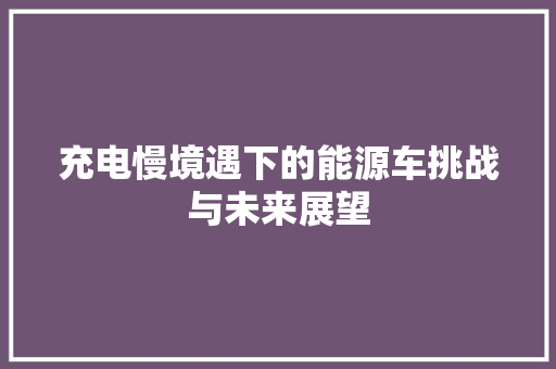 充电慢境遇下的能源车挑战与未来展望