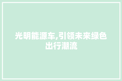 光明能源车,引领未来绿色出行潮流
