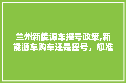 兰州新能源车摇号政策,新能源车购车还是摇号，您准备好了吗 自动驾驶