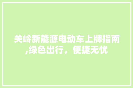 关岭新能源电动车上牌指南,绿色出行，便捷无忧