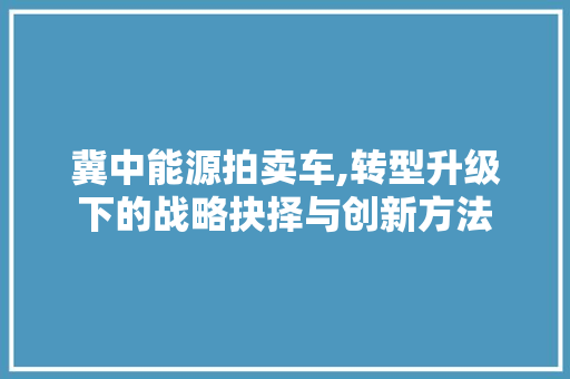 冀中能源拍卖车,转型升级下的战略抉择与创新方法
