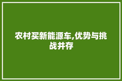 农村买新能源车,优势与挑战并存