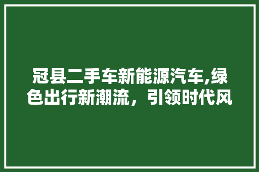 冠县二手车新能源汽车,绿色出行新潮流，引领时代风尚