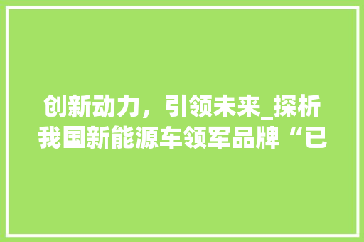 创新动力，引领未来_探析我国新能源车领军品牌“已”的崛起之路