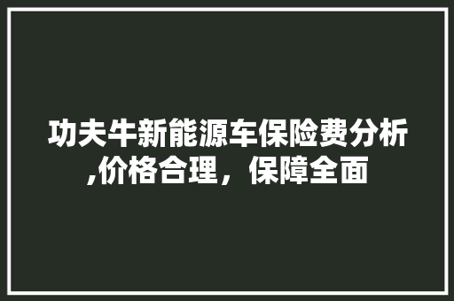 功夫牛新能源车保险费分析,价格合理，保障全面