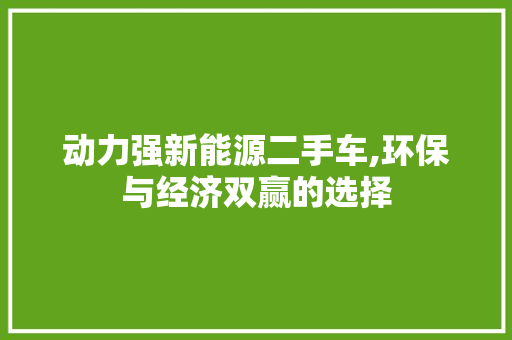 动力强新能源二手车,环保与经济双赢的选择