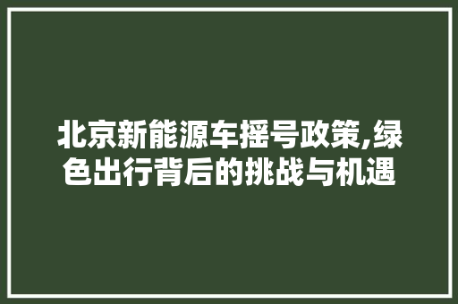 北京新能源车摇号政策,绿色出行背后的挑战与机遇