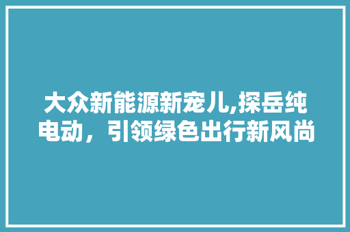 大众新能源新宠儿,探岳纯电动，引领绿色出行新风尚