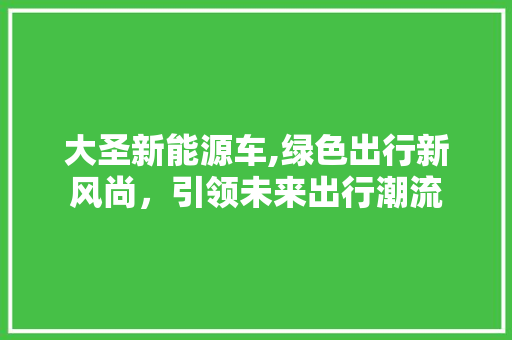 大圣新能源车,绿色出行新风尚，引领未来出行潮流