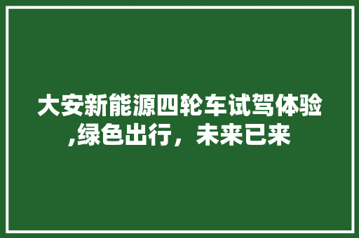 大安新能源四轮车试驾体验,绿色出行，未来已来 混合动力车