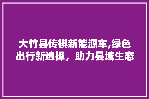 大竹县传祺新能源车,绿色出行新选择，助力县域生态发展