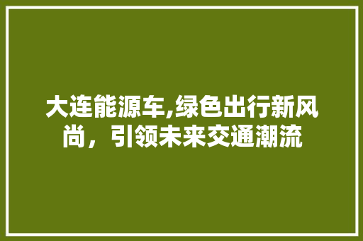 大连能源车,绿色出行新风尚，引领未来交通潮流