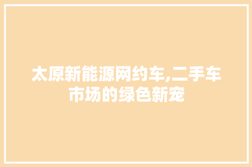 太原新能源网约车,二手车市场的绿色新宠 车载导航