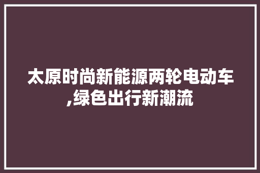 太原时尚新能源两轮电动车,绿色出行新潮流