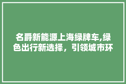 名爵新能源上海绿牌车,绿色出行新选择，引领城市环保潮流