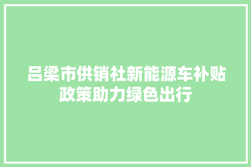 吕梁市供销社新能源车补贴政策助力绿色出行