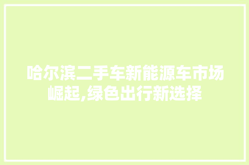 哈尔滨二手车新能源车市场崛起,绿色出行新选择