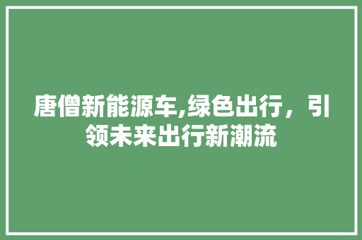 唐僧新能源车,绿色出行，引领未来出行新潮流