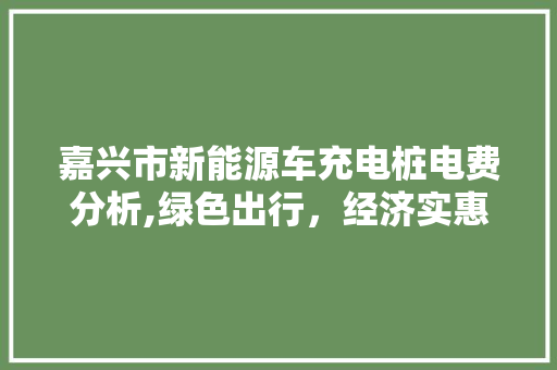 嘉兴市新能源车充电桩电费分析,绿色出行，经济实惠之路