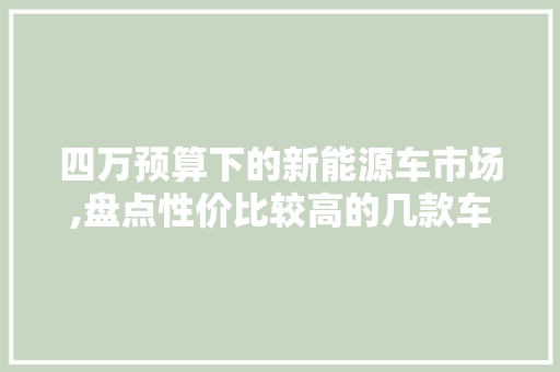 四万预算下的新能源车市场,盘点性价比较高的几款车型