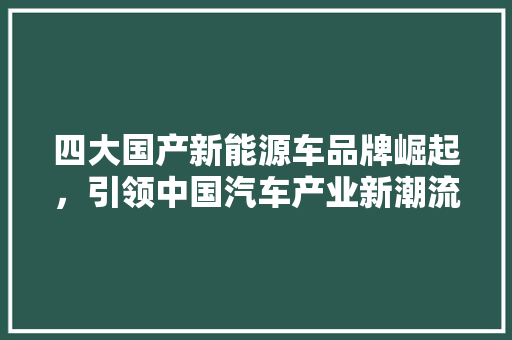 四大国产新能源车品牌崛起，引领中国汽车产业新潮流
