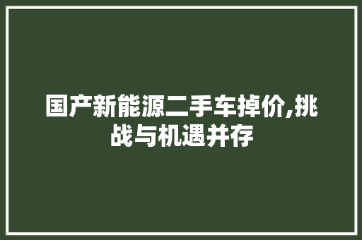 国产新能源二手车掉价,挑战与机遇并存
