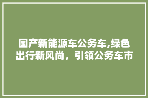 国产新能源车公务车,绿色出行新风尚，引领公务车市场变革