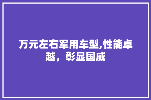 万元左右军用车型,性能卓越，彰显国威