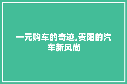一元购车的奇迹,贵阳的汽车新风尚 智能驾驶