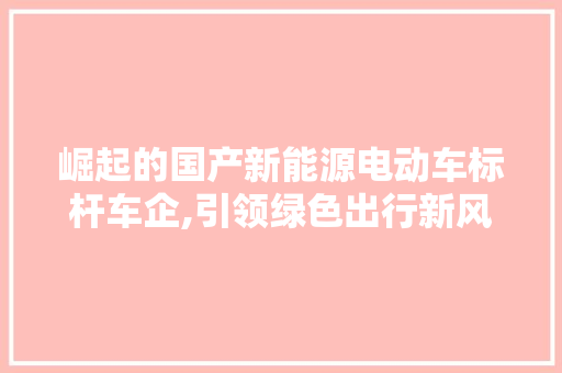 崛起的国产新能源电动车标杆车企,引领绿色出行新风尚