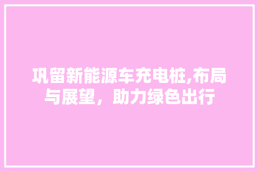 巩留新能源车充电桩,布局与展望，助力绿色出行