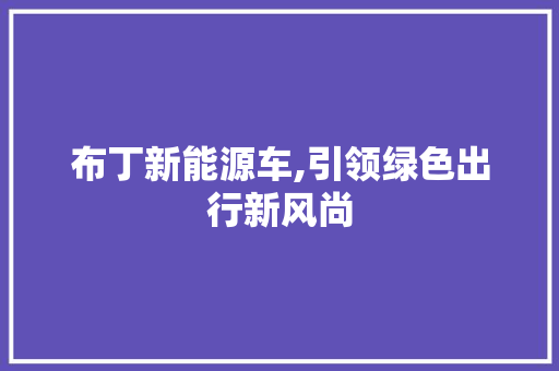 布丁新能源车,引领绿色出行新风尚