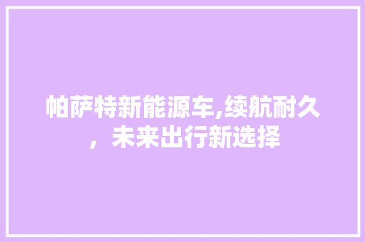 帕萨特新能源车,续航耐久，未来出行新选择