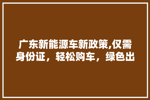 广东新能源车新政策,仅需身份证，轻松购车，绿色出行不再遥远