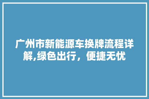 广州市新能源车换牌流程详解,绿色出行，便捷无忧