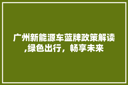广州新能源车蓝牌政策解读,绿色出行，畅享未来 新车资讯