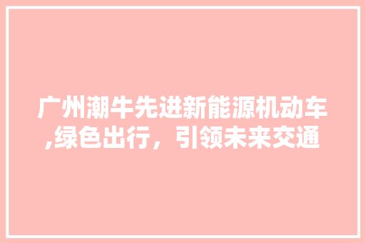 广州潮牛先进新能源机动车,绿色出行，引领未来交通潮流