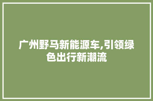广州野马新能源车,引领绿色出行新潮流