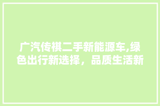 广汽传祺二手新能源车,绿色出行新选择，品质生活新伙伴