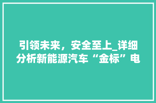 引领未来，安全至上_详细分析新能源汽车“金标”电池技术