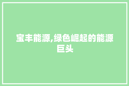 宝丰能源,绿色崛起的能源巨头
