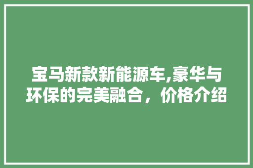 宝马新款新能源车,豪华与环保的完美融合，价格介绍