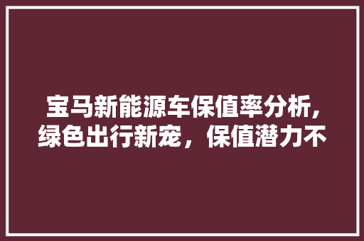 宝马新能源车保值率分析,绿色出行新宠，保值潜力不容小觑