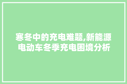 寒冬中的充电难题,新能源电动车冬季充电困境分析