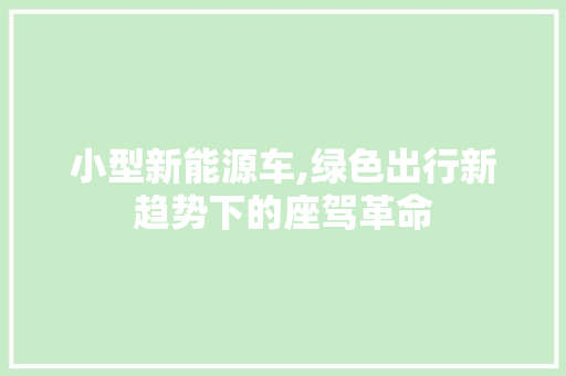 小型新能源车,绿色出行新趋势下的座驾革命