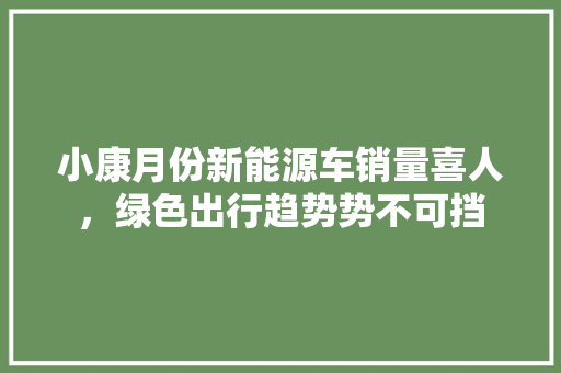 小康月份新能源车销量喜人，绿色出行趋势势不可挡