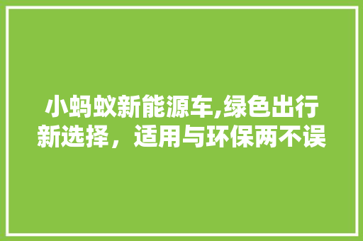 小蚂蚁新能源车,绿色出行新选择，适用与环保两不误