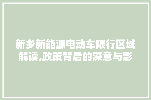 新乡新能源电动车限行区域解读,政策背后的深意与影响